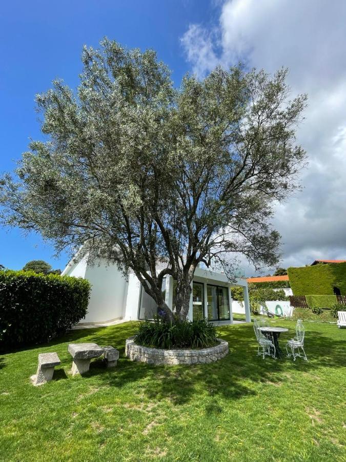 Fonte Do Forno Villas Афифе Екстериор снимка
